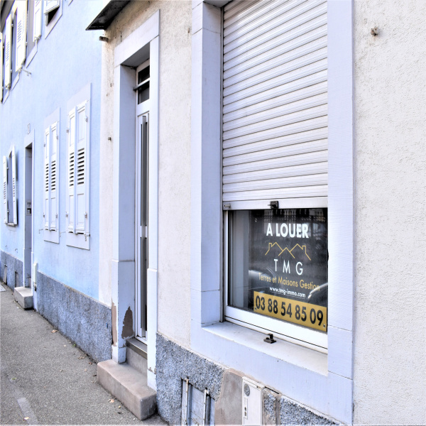 Location Immobilier Professionnel Local commercial Haguenau 67500