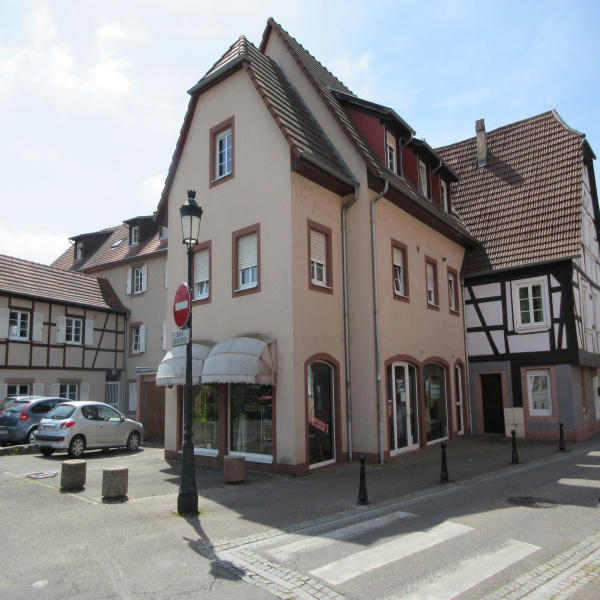 Vente Immobilier Professionnel Local commercial Wissembourg 67160