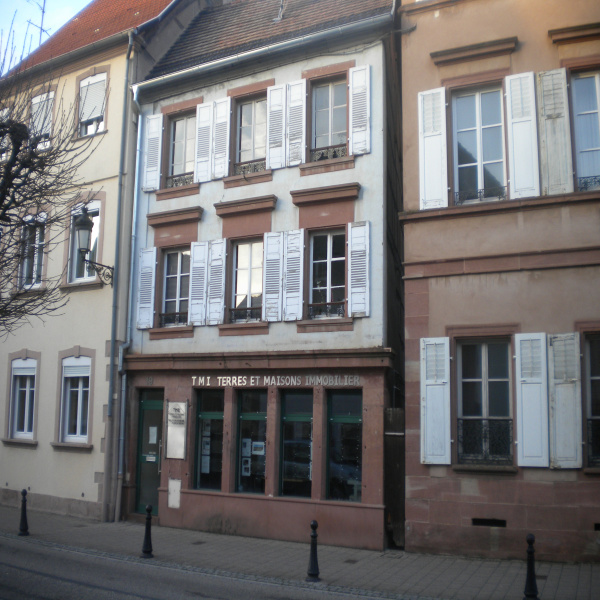 Location Immobilier Professionnel Local professionnel Wissembourg 67160