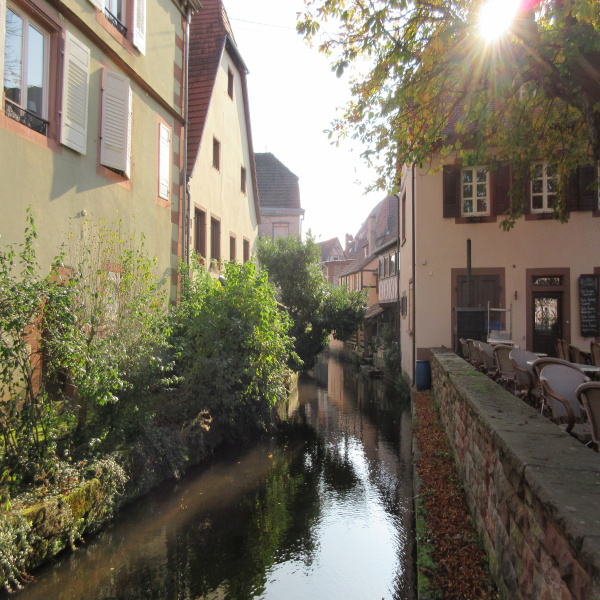 Offres de vente Maison Wissembourg 67160