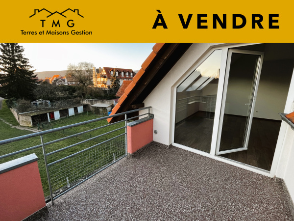 Offres de vente Appartement Wissembourg 67160