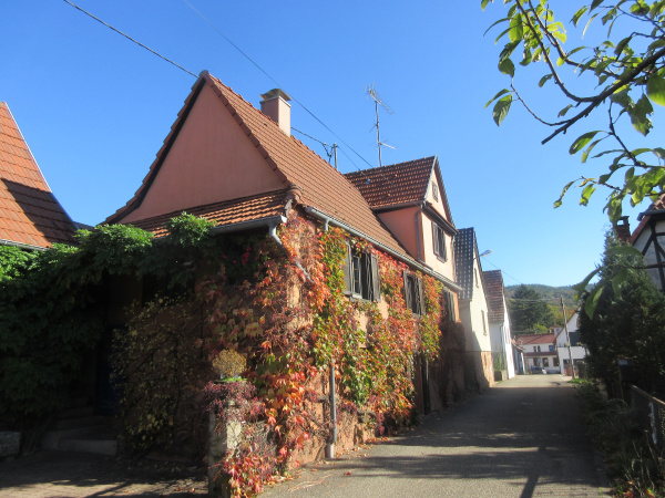 Offres de vente Maison Wissembourg 67160